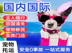 韶关机场物流国际宠物托运 【国